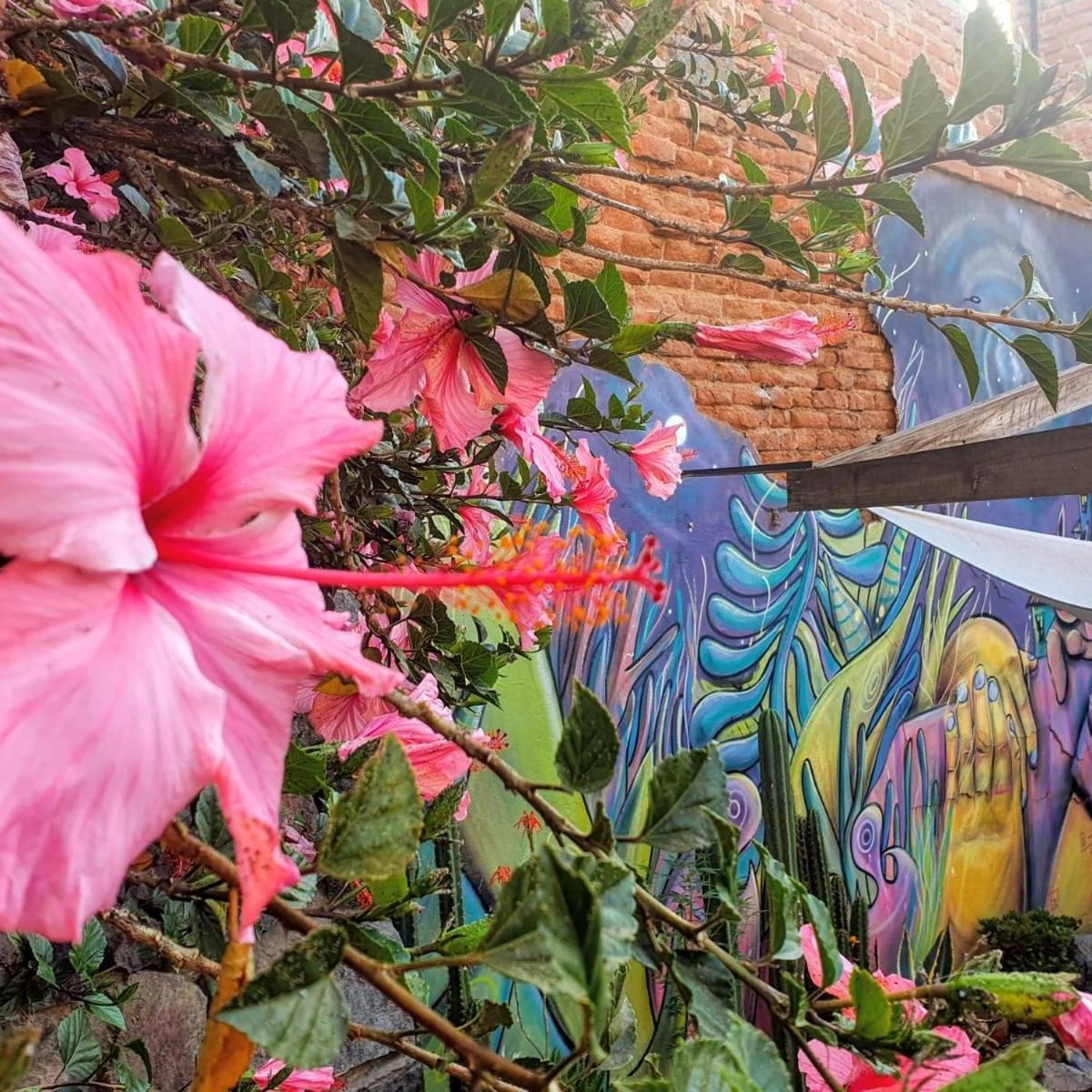 La Casa Piola Hostel Valparaíso Buitenkant foto